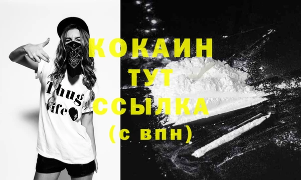 спиды Мегион