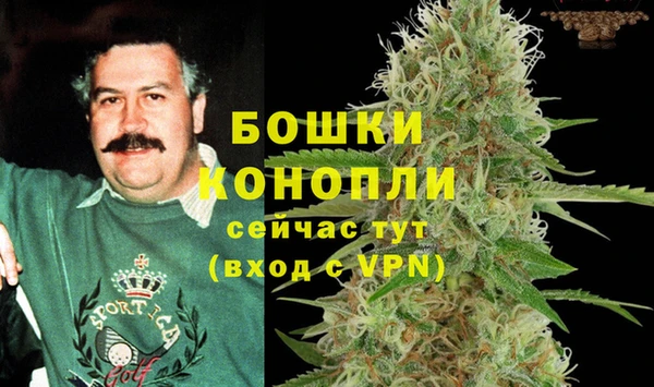спиды Мегион