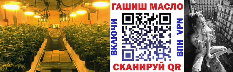 Дистиллят ТГК Wax  Купить закладки  Красноармейск 