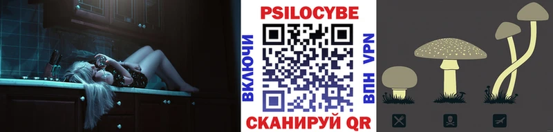 Купить где Красноармейск Псилоцибиновые грибы Psilocybe